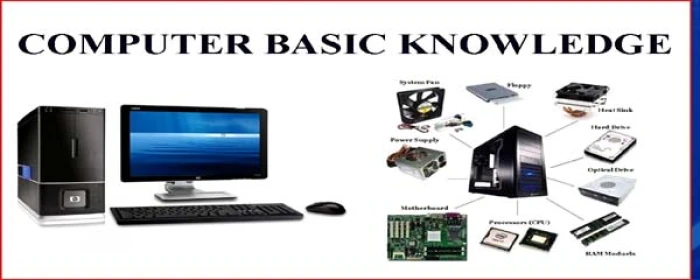 Course - Certificate Course In Basic Computer Skills