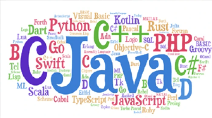 Course - DIPLOMA IN BASIC AND LANGUAGE